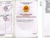 ĐẤT ĐẸP - ĐẦU TƯ SINH LỜI - Chính Chủ Bán Nhanh Lô Đất Xã Lý Nhơn, Cần Giờ, HCM