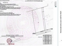 ĐẤT ĐẸP - ĐẦU TƯ SINH LỜI - Chính Chủ Bán Nhanh Lô Đất Xã Lý Nhơn, Cần Giờ, HCM