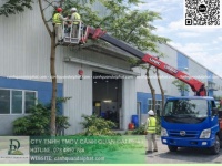 Dịch Vụ Cắt Cỏ, Cưa Cây Long Thành – Long Đức Đồng Nai Nhanh Gọn, An Toàn, Giá Tốt