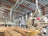 CHUYỂN NHƯỢNG NHÀ XƯỞNG CỤM CN HÓC MÔN – 4.000M² – PHÁP LÝ CHUẨN – GIÁ 33 TỶ