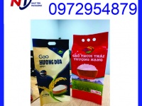 Chuyên in túi gạo 5kg giá rẻ, túi đựng gạo 5kg PA/PE