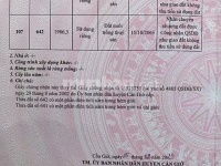 ĐẤT ĐẸP – GIÁ TỐT – CHÍNH CHỦ CẦN BÁN LÔ ĐẤT LIỀN KỀ ( ĐẤT AO) Xã An Thới Đông, Cần Giờ, TP. HCM