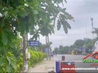 SIÊU PHẨM ĐẤT MẶT ĐƯỜNG QUÁN TOAN – VỊ TRÍ ĐẸP, TIỀM NĂNG SINH LỜI CAO