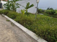 BÁN ĐẤT 120M² GIÁ TỐT – SỔ ĐỎ CHÍNH CHỦ