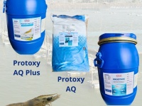 PROTOXY AQ PLUS – Enzyme Protease Ấn Độ Hỗ Trợ Tiêu Hóa, Tăng Trưởng Tôm Cá