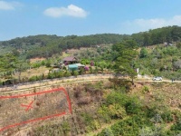 BÁN NHANH LÔ ĐẤT XUÂN TRƯỜNG - CẦU ĐẤT, ĐÀ LẠT - 1000M2 - 2TỶ200TRIỆU
