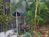 Bán Nền Thổ cư khóm Tân Thuận. Phường, Sa Đéc, Đồng Tháp, 77m2, Sổ Hồng. Giá chỉ 1.1 Tỷ!