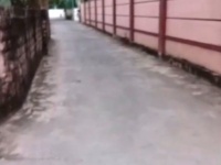 Chính chủ bán lô đất đẹp xóm 5, xã Nghi Thịnh, huyện Nghi Lộc, Nghệ An - Đầu tư sinh lời tốt