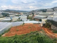 ► BÁN ĐẤT ĐẸP VIEW ĐÀ LẠT – DIỆN TÍCH LỚN, CÓ SẴN THỔ CƯ