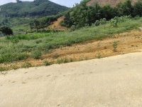 BÁN ĐẤT FULL THỔ CƯ TẠI MINH ĐÀI – TÂN SƠN – PHÚ THỌ