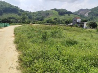 BÁN ĐẤT FULL THỔ CƯ TẠI MINH ĐÀI – TÂN SƠN – PHÚ THỌ