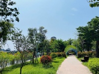 CHÍNH CHỦ BÁN CĂN HỘ VIEW TRIỆU ĐÔ TẠI ANLAND LAKE VIEW – SỐNG XANH GIỮA TRUNG TÂM HÀ ĐÔNG
