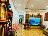 CẦN BÁN NHÀ 214M2 4X50 NHÀ CẤP 4 MT ĐƯỜNG HUỲNH BÁ CHÁNH