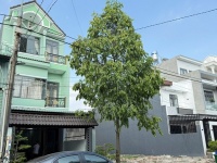 CHÍNH CHỦ Cần Bán Nhanh Căn Nhà Lầu Đổ Thật Phun Ban Công Sổ Riêng Thổ Cư Tại Biên Hòa, TP Đồng Nai
