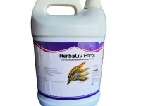 Herbaliv Forte – Hỗ Trợ Gan Ruột Tôm Cá Thủy Sản