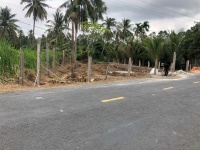 CHÍNH CHỦ CẦN BÁN LÔ ĐẤT CÓ VỊ TRÍ ĐẸP TẠI XÃ AN THẠNH 1 - HUYỆN CÙ LAO DUNG - TỈNH SÓC TRĂNG.