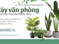 Dịch Vụ Chăm Sóc Cây Xanh Văn Phòng – Tòa Nhà Tại Đồng Nai