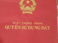 Chính chủ bán quỹ đất đẹp Hạ Bằng, Thạch Thất - Sát Hòa Lạc - Tiềm năng tăng giá cực mạnh