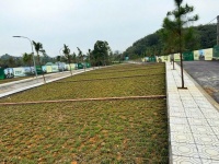 SIÊU PHẨM ĐẦU TƯ FO PHÚ CÁT SÁT CHỢ LONG PHÚ ĐÓN SÓNG QL21 METRO 05 100M NHỈNH 2TỶ