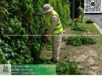 Dịch Vụ Chăm Sóc Cây Xanh – Cắt Cỏ Nhà Máy KCN Long Thành Đồng Nai