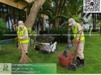 Dịch Vụ Chăm Sóc Cây Xanh – Cắt Cỏ Nhà Máy KCN Long Thành Đồng Nai