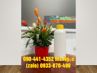 Lọ 50ml đựng hóa chất, chai nhựa 100ml đựng dầu tràm