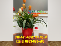 Lọ 50ml phun sương, chai nhựa 50ml xịt khoáng 