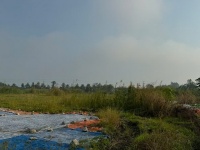 CẦN BÁN 21,4 HA ĐẤT CỤM CÔNG NGHIỆP MỸ HIỆP – CAO LÃNH, ĐỒNG THÁP