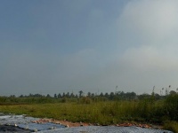 CẦN BÁN 21,4 HA ĐẤT CỤM CÔNG NGHIỆP MỸ HIỆP – CAO LÃNH, ĐỒNG THÁP