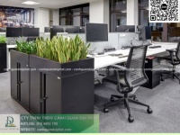 Chăm sóc cây xanh văn phòng trọn gói TPHCM chuyên nghiệp