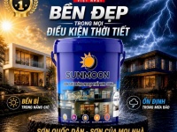 Chuyên Phân Phối & Nhận Thi Công Sơn Nhà