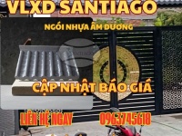 NGÓI NHỰA ÂM DƯƠNG