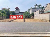 Bán lô đẹp Sơn Đông gần QL21, ĐH FPT đường thông 2 ôtô mua đầu tư, xây ở, KD nhỉnh 3ty 72m