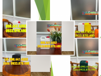 SX can nhựa 0.5 lít vàng, can tròn 1 lít, can 2 lít y tế màu xanh lá 