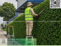 DỊCH VỤ CHĂM SÓC CẢNH QUAN – CẮT CỎ – TỈA CÂY KCN SÓNG THẦN 1, 2, 3