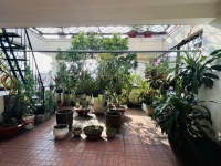Bán nhà VỊ TRÍ ĐẸP HXT ngang 5.3m 122m2 CMT8 KD buôn bán gần BV Thống Nhất sát 19 tỷ.
