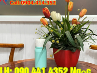 Chai nhựa 500ml đựng hương liệu khử mùi, chai nhựa 1 lít đựng chất nhờn 