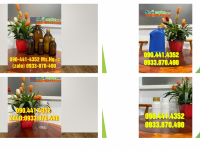 Chai nhựa 500ml đựng hương liệu khử mùi, chai nhựa 1 lít đựng chất nhờn 