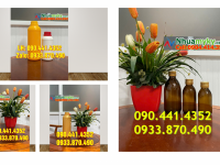 Bình đựng hóa chất thủy tinh 1 lít, chai đựng hóa chất 0.5 lít thủy tinh
