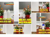 Bình đựng hóa chất thủy tinh 1 lít, chai đựng hóa chất 0.5 lít thủy tinh