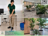 CHĂM SÓC CÂY XANH VĂN PHÒNG – VỆ SINH VĂN PHÒNG DOANH NGHIỆP ĐỒNG NAI