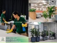 BÁO GIÁ CHĂM SÓC CÂY XANH VĂN PHÒNG – VỆ SINH VĂN PHÒNG, NHÀ XƯỞNG ĐỒNG NAI