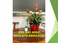 Vỏ chai nhựa 100ml đựng hóa chất, chai chứa chất lỏng 1 lít tròn