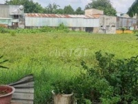 BÁN 1.950M² ĐẤT NÔNG NGHIỆP QUY HOẠCH ĐẤT Ở - HẺM XE HƠI - GIÁ CHỈ 7,8 TRIỆU/M² TẠI HÓC MÔN