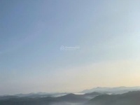 HOT HOT–CẦN BÁN LÔ GÓC 3 MẶT TIỀN –VIEW SĂN MÂY ĐỒI CHÈ CẦU ĐẤT XÃ XUÂN TRƯỜNG, TP. ĐÀ LẠT, Lâm Đồng
