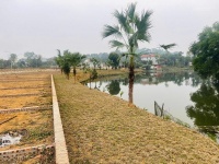 Bán lô siêu phẩm hàng hiếm Hòa Lạc  view hồ view suối đường to ô tô tránh 100m2 nhỉnh 2 tỷ