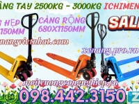 Xe nâng tay ICHIMENS