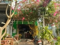 CHÍNH CHỦ CẦN BÁN NHÀ MẶT TIỀN ĐƯỜNG Hàm Nghi, Bình Khánh, Long Xuyên. Thổ cư 100%