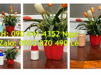 Vỏ chai nhựa 500ml, chai lọ 250ml đựng hóa chất