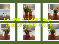Vỏ chai nhựa 500ml, chai lọ 250ml đựng hóa chất